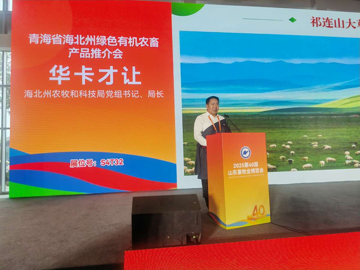 微信图片_20251103231113 (1).jpg